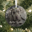 Search for new dog christmas tree decorations Picture