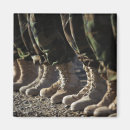 Search for troops magnets Afghanistan