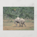 Search for behaviour postcards Public land