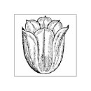 Search for tulip craft supplies Garden