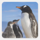 Search for habitat stickers Wildlife