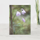 Search for shall cards Floral