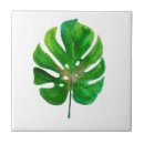 Search for monstera tiles Leaf