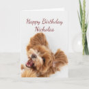 Search for pet name cards Cute