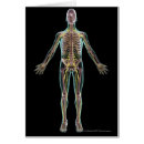 Search for nervous system postcards People