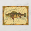 Search for perch postcards Fish