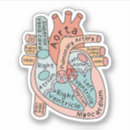 Search for anatomical stickers Cardiac nurse
