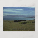 Search for kiwi postcards Landscape