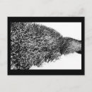 Search for hedge postcards Snow