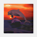 Search for nautical magnets Sealife