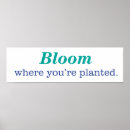Search for gardening quotes posters Birds and blooms