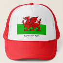 Search for welsh dragon hats Flag