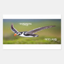 Search for puffins stickers Nature