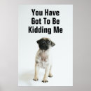 Search for cute puppy posters Pug