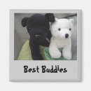 Search for buddies magnets Nature