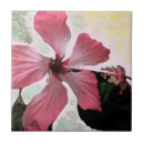 Search for exotic tiles Floral