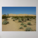 Search for mojave posters Landscape