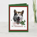Search for alaskan malamute christmas cards Pets