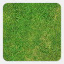 Search for coaster stickers Summer