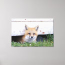 Search for wild fox canvas prints Mammal