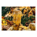 Search for bryce art Desert