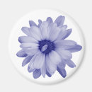 Search for accent magnets Flower