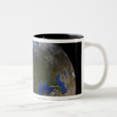 Search for morocco map mugs Continents