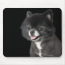 Search for pomeranian mouse mats Animal
