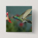 Search for feeding square badges Animal