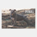 Search for dog nose stickers Pitbull