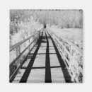 Search for swamp magnets Cypress