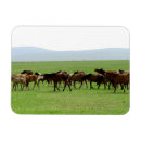 Search for grassland magnets Landscape