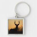 Search for white tail deer key rings Antlers