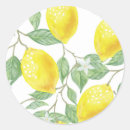 Search for cute lemon stickers Leaves