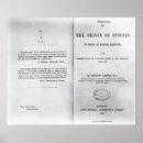 Search for evolutionary art Theory