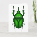 Search for bug cards Beetles