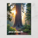 Search for generated postcards Nature