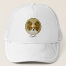 Search for tri hats Dog