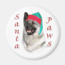Search for norwegian magnets Dog