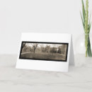Search for haven cards Connecticut