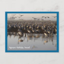 Search for migrating postcards Birds
