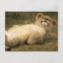 Search for stressed postcards Cute
