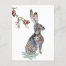Search for hare paintings postcards Rabbit