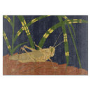 Search for insect kitchen dining Grasshopper