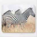 Search for early mouse mats Outdoors