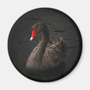 Search for beak round magnets Bird