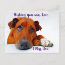 Search for sad miss you puppy postcards Animals