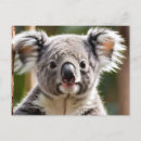 Search for bear face postcards Cute