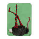 Search for ostrich magnets Flowers