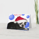 Search for boston christmas cards Terrier